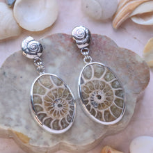 Load image into Gallery viewer, Fossilized Ammonite Earrings in Sterling Silver