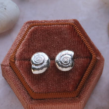 Load image into Gallery viewer, Seashell Earrings in Sterling Silver
