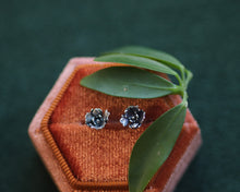 Load image into Gallery viewer, Offshoot Stud Earrings II

