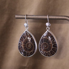 Load image into Gallery viewer, Fossilized Ammonite Earrings I in Sterling Silver
