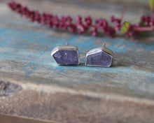 Load image into Gallery viewer, Stud Earrings in Sterling Silver
