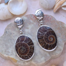 Load image into Gallery viewer, Fossilized Ammonite Earrings in Sterling Silver
