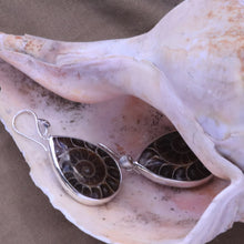 Load image into Gallery viewer, Fossilized Ammonite Earrings I in Sterling Silver
