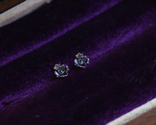 Load image into Gallery viewer, Offshoot Stud Earrings II
