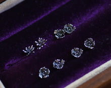 Load image into Gallery viewer, Offshoot Stud Earrings I
