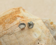 Load image into Gallery viewer, Shell Stud Earring in Sterling Silver
